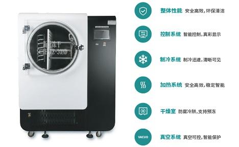宁波新芝 SCIENTZ-30YD系列电加热式原位冻干机