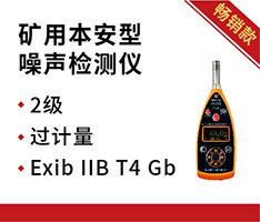 杭州爱华 YSD130+本安型声级计