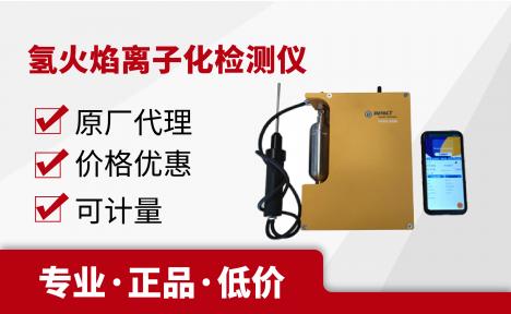 2020系列便携式氢火焰离子化检测仪